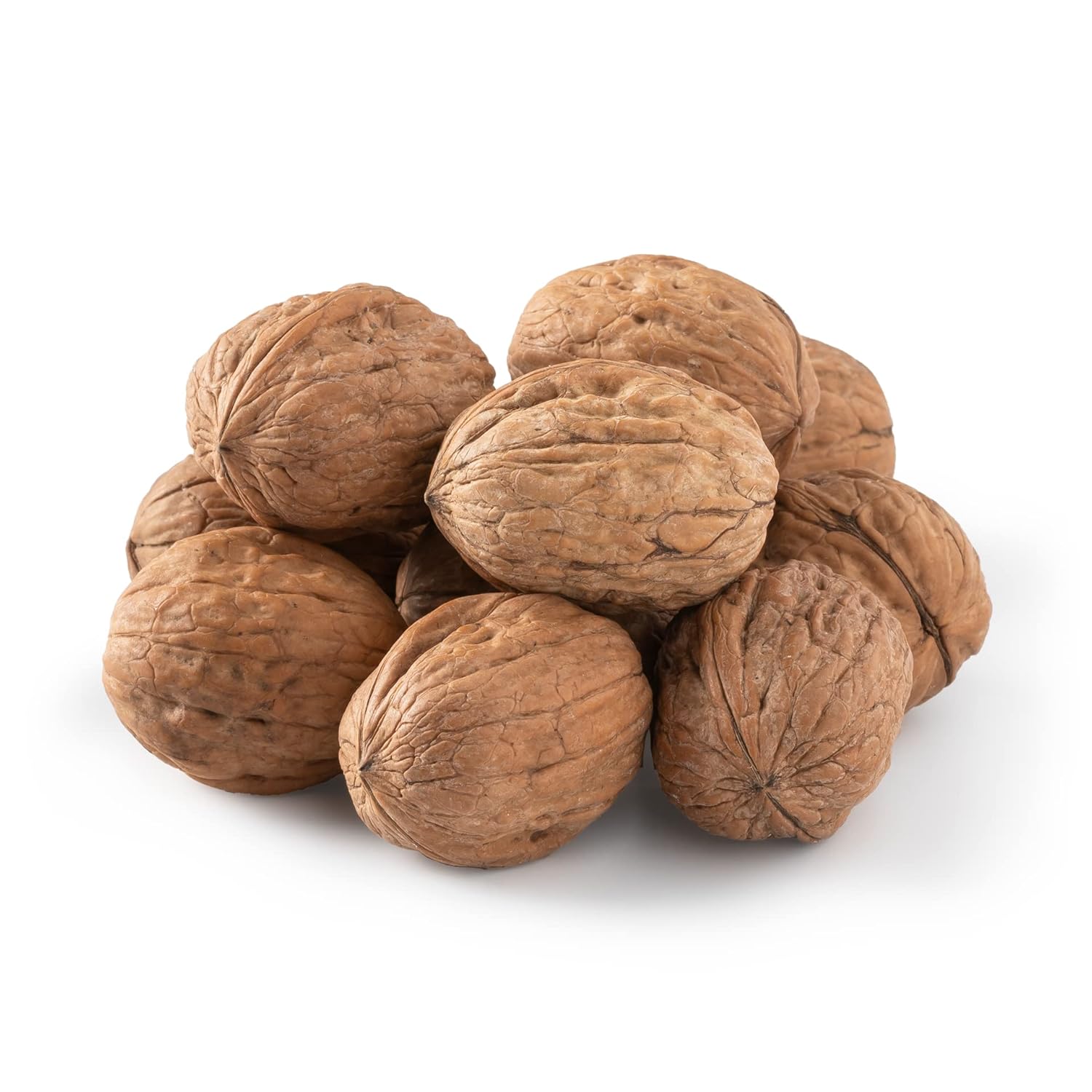 https://www.creatyy.shop/uploads/Walnuts Super Soft Rasgula